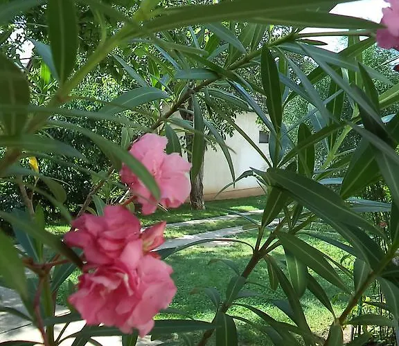 Attila Vendeghaz דירה