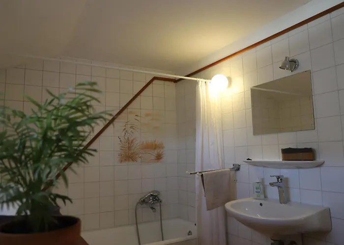 Attila Vendeghaz דירה *